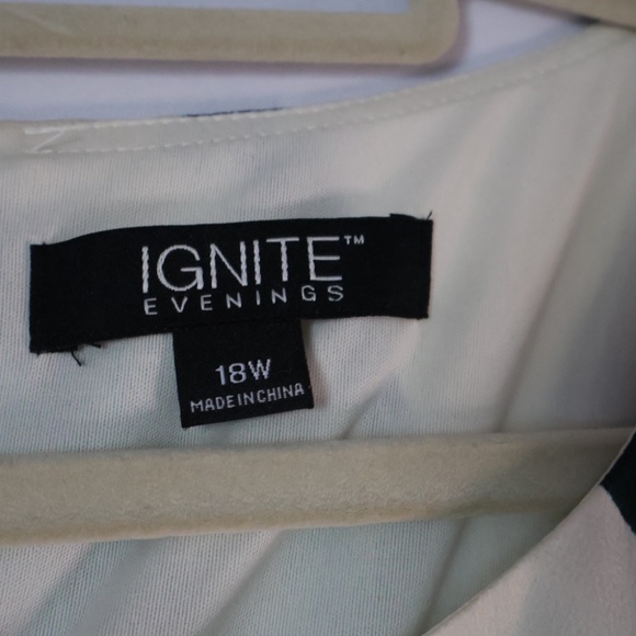 Ignite Evenings Shift Dress - Picture 4 of 7